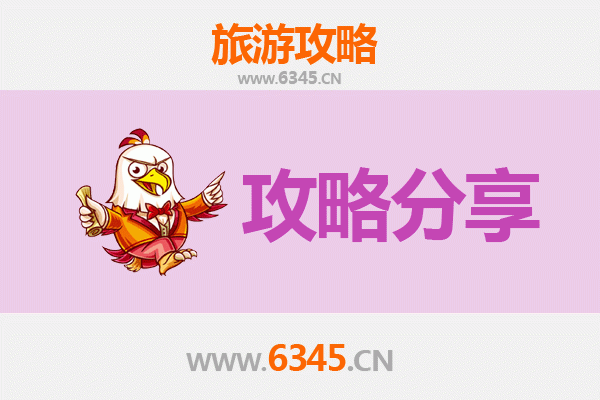 毕节赫章至湄洲岛旅游攻略：跟团还是自由行选择指南